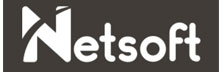 Netsoft - Top Netsuite Solution Companies Netsoft