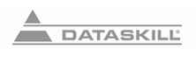 DataSkill - Top IBM Solution Companies DataSkill