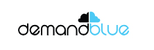DemandBlue - Top Salesforce Solutions Companies DemandBlue