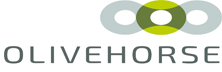 Olivehorse Consulting - Top Cloud Based Planning Solution Companies Olivehorse Consulting