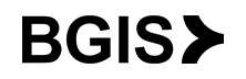 BGIS - Top Workplace Management Solution Companies BGIS