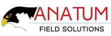 Anatum Field Solutions