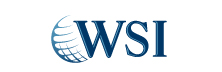WSI Paid Search - Top Google Marketing Consulting/Service Companies WSI Paid Search
