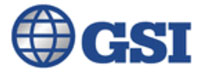 GSI - Top Netsuite Solution Companies GSI