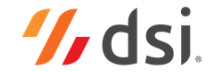 DSI - Top Netsuite Solution Companies DSI