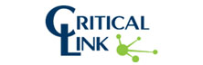 Critical Link