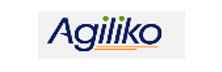 Agiliko - Top Business Intelligence (BI) and Analytics Consulting/Services Companies Agiliko