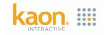 Kaon Interactive
