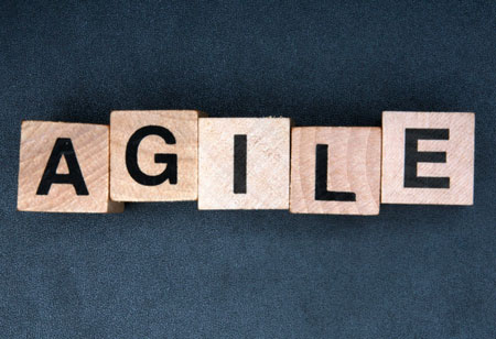 How to Develop Agile Enterprise Framework