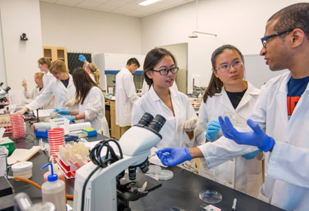 What are the Upcoming Opportunities in Food Technology?