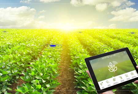 How Location Technology Transforms Farming Techniques?