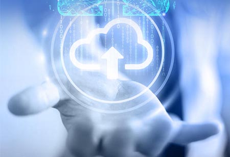 How Important is Online Expense Management Software?
