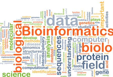 Bioinformatics: Forging Ahead to New Heights