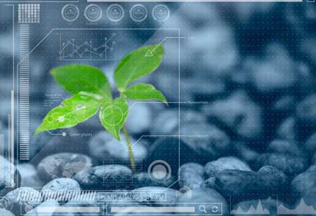 3 Ways Machine Vision Energizes Agriculture