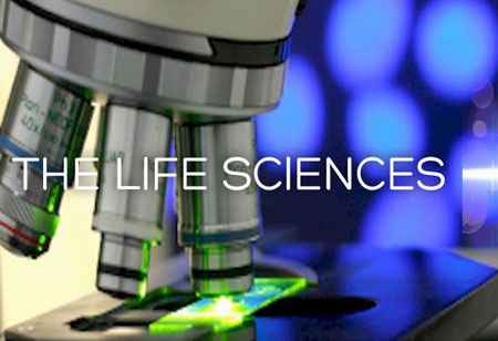Key Regulatory Trends in Life Sciences