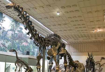 Is Traditional Knowledge Management Joining the Former Population of Dinosaurs?