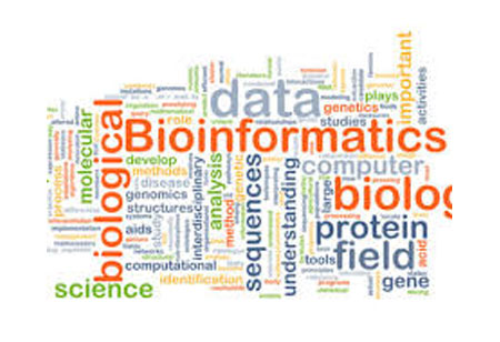 Bioinformatics: Newer Opportunities in Genomic Testing 